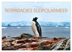Cover Tierparadies Südpolarmeer (Wandkalender 2026 DIN A2 quer), CALVENDO Monatskalender