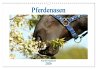 Pferdenasen (Wandkalender 2026 DIN A3... - Bild 1