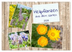 Cover Heilpflanzen aus dem Garten (Wandkalender 2026 DIN A2 quer), CALVENDO Monatskalender