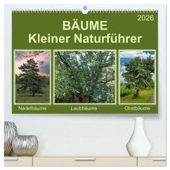 Cover Bäume Kleiner Naturführer (hochwertiger Premium Wandkalender 2026 DIN A2 quer), Kunstdruck in Hochglanz