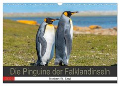 Cover Die Pinguine der Falklandinseln (Wandkalender 2026 DIN A3 quer), CALVENDO Monatskalender