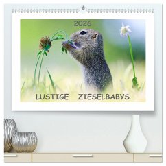 Lustige Zieselbabys (hochwertiger Premium Wandkalender 2026 DIN A2 quer), Kunstdruck in Hochglanz