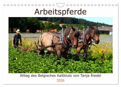 Cover Arbeitspferde - Alltag des belgischen Kaltbluts (Wandkalender 2026 DIN A4 quer), CALVENDO Monatskalender