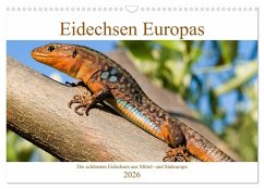 Eidechsen Europas (Wandkalender 2026 DIN A3 quer), CALVENDO Monatskalender Eidechsen Europas (Wandkalender 2026 DIN A3 quer), CALVENDO Monatskalender