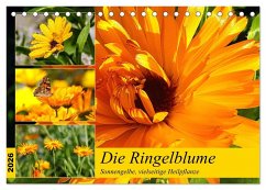 Die Ringelblume. Sonnengelbe, vielseitige Heilpflanze (Tischkalender 2026 DIN A5 quer), CALVENDO Monatskalender