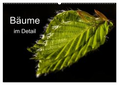 Cover Bäume im Detail (Wandkalender 2026 DIN A2 quer), CALVENDO Monatskalender
