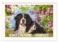 Cover Berner Sennenhunde - Träumereien (Tischkalender 2026 DIN A5 quer), CALVENDO Monatskalender