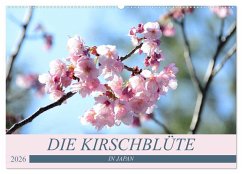 Cover Die Kirschblüte in Japan (Wandkalender 2026 DIN A2 quer), CALVENDO Monatskalender