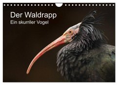 Cover Der Waldrapp - Ein skurriler Vogel (Wandkalender 2026 DIN A4 quer), CALVENDO Monatskalender
