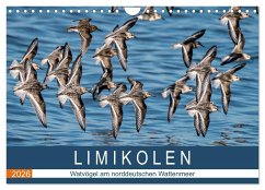 Limikolen - Watvögel am norddeutschen Wattenmeer (Wandkalender 2026 DIN A4 quer), CALVENDO Monatskalender
