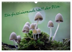 Cover Die faszinierende Welt der Pilze (Wandkalender 2026 DIN A3 quer), CALVENDO Monatskalender