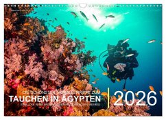 Die schönsten Korallenriffe zum Tauchen in Ägypten (Wandkalender 2026 DIN A3 quer), CALVENDO Monatskalender