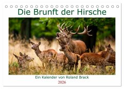 Die Brunft der Hirsche (Tischkalender 2026 DIN A5 quer), CALVENDO Monatskalender Die Brunft der Hirsche (Tischkalender 2026 DIN A5 quer), CALVENDO Monatskalender