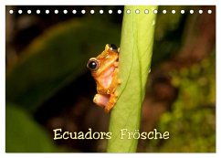 Cover Ecuadors Frösche (Tischkalender 2026 DIN A5 quer), CALVENDO Monatskalender