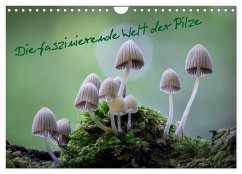 Cover Die faszinierende Welt der Pilze (Wandkalender 2026 DIN A4 quer), CALVENDO Monatskalender