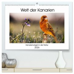 Welt der Kanarien (hochwertiger Premium Wandkalender 2026 DIN A2 quer), Kunstdruck in Hochglanz