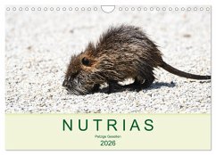 NUTRIAS - Pelzige Gesellen (Wandkalender 2026 DIN A4 quer), CALVENDO Monatskalender