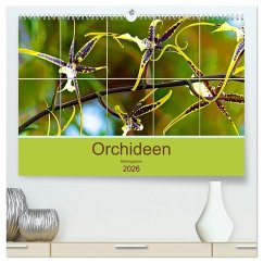 Orchideen Bildergalerie (hochwertiger Premium Wandkalender 2026 DIN A2 quer), Kunstdruck in Hochglanz