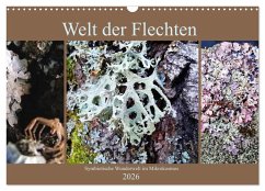 Welt der Flechten (Wandkalender 2026 DIN A3 quer), CALVENDO Monatskalender Welt der Flechten (Wandkalender 2026 DIN A3 quer), CALVENDO Monatskalender