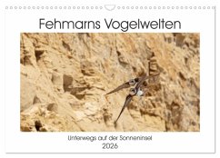 Cover Fehmarn Vogelwelten (Wandkalender 2026 DIN A3 quer), CALVENDO Monatskalender