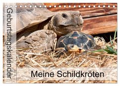 Cover Meine Schildkröten - Geburtstagskalender (Tischkalender 2026 DIN A5 quer), CALVENDO Monatskalender