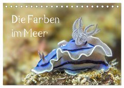 Die Farben im Meer (Tischkalender 2026 DIN A5 quer), CALVENDO Monatskalender Die Farben im Meer (Tischkalender 2026 DIN A5 quer), CALVENDO Monatskalender