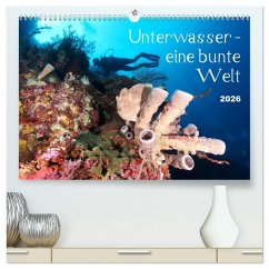 Unterwasser - eine bunte Welt (hochwertiger Premium Wandkalender 2026 DIN A2 quer), Kunstdruck in Hochglanz Unterwasser - eine bunte Welt (hochwertiger Premium Wandkalender 2026 DIN A2 quer), Kunstdruck in Hochglanz