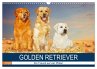 Golden Retriever - Ein Freund auf vier... - Bild 1