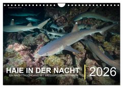 Haie in der Nacht (Wandkalender 2026 DIN A4 quer), CALVENDO Monatskalender Haie in der Nacht (Wandkalender 2026 DIN A4 quer), CALVENDO Monatskalender