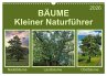 Bäume Kleiner Naturführer... - Bild 1