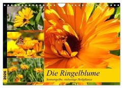 Die Ringelblume. Sonnengelbe, vielseitige Heilpflanze (Wandkalender 2026 DIN A4 quer), CALVENDO Monatskalender