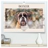 Boxer Photo&Kunst (hochwertiger Premium... - Bild 1