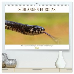 Schlangen Europas (hochwertiger Premium Wandkalender 2026 DIN A2 quer), Kunstdruck in Hochglanz Schlangen Europas (hochwertiger Premium Wandkalender 2026 DIN A2 quer), Kunstdruck in Hochglanz