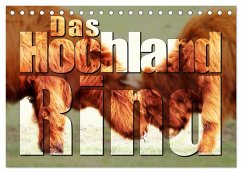 Das Hochlandrind (Tischkalender 2026 DIN A5 quer), CALVENDO Monatskalender