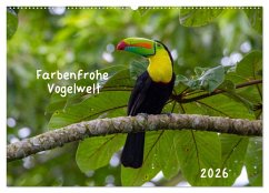 Farbenfrohe Vogelwelt (Wandkalender 2026 DIN A2 quer), CALVENDO Monatskalender Farbenfrohe Vogelwelt (Wandkalender 2026 DIN A2 quer), CALVENDO Monatskalender