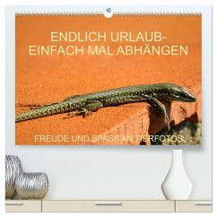Freude und Spaß an Tierfotos (hochwertiger Premium Wandkalender 2026 DIN A2 quer), Kunstdruck in Hochglanz