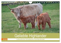 Geliebte Highlander (Wandkalender 2026 DIN A4 quer), CALVENDO Monatskalender