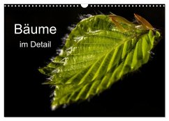 Cover Bäume im Detail (Wandkalender 2026 DIN A3 quer), CALVENDO Monatskalender