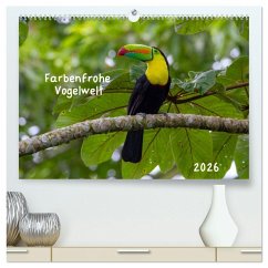 Farbenfrohe Vogelwelt (hochwertiger Premium Wandkalender 2026 DIN A2 quer), Kunstdruck in Hochglanz Farbenfrohe Vogelwelt (hochwertiger Premium Wandkalender 2026 DIN A2 quer), Kunstdruck in Hochglanz
