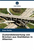 Zustandsbewertung von Brücken aus Stahlbeton in Albanien Zustandsbewertung von Brücken aus Stahlbeton in Albanien