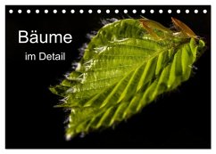 Cover Bäume im Detail (Tischkalender 2026 DIN A5 quer), CALVENDO Monatskalender