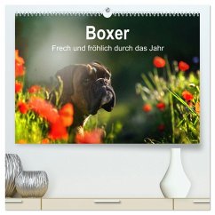 Boxer Frech und fröhlich durch das Jahr (hochwertiger Premium Wandkalender 2026 DIN A2 quer), Kunstdruck in Hochglanz Boxer Frech und fröhlich durch das Jahr (hochwertiger Premium Wandkalender 2026 DIN A2 quer), Kunstdruck in Hochglanz