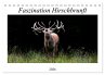 Faszination Hirschbrunft (Tischkalender... - Bild 1