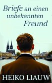 Briefe an einen unbekannten Freund (eBook, ePUB)