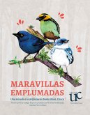 Maravillas Emplumadas (eBook, PDF)