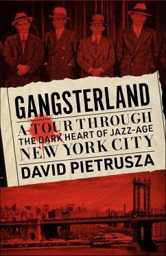 Cover Gangsterland (eBook, ePUB)