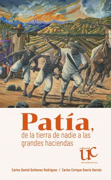 Patía, de la tierra de nadie a las grandes haciendas (eBook, PDF)