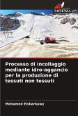 Processo di incollaggio mediante idro-aggancio per la produzione di tessuti non tessuti Processo di incollaggio mediante idro-aggancio per la produzione di tessuti non tessuti
