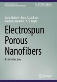 Electrospun Porous Nanofibers (eBook, PDF) Electrospun Porous Nanofibers (eBook, PDF)