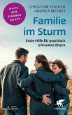 Familie im Sturm (eBook, PDF) Familie im Sturm (eBook, PDF)